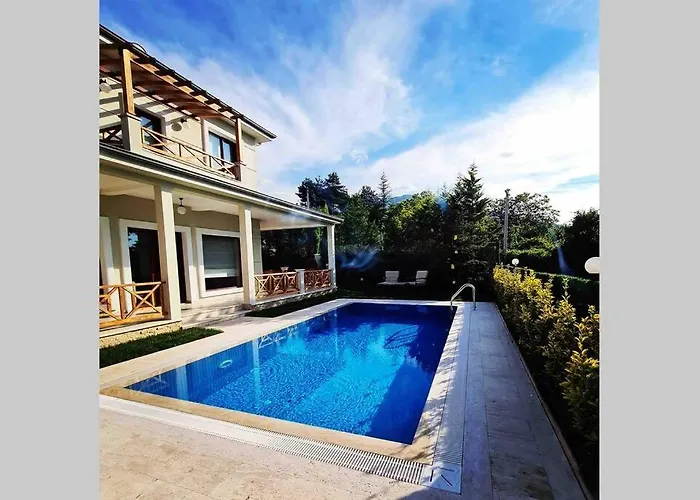 Villaozil Villa Sapanca